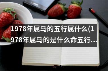 1978年属马的五行属什么(1978年属马的是什么命五行属什么)