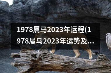 1978属马2025年运程(1978属马2025年运势及运程详解)