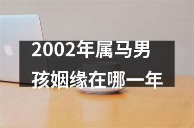 2002年属马男孩姻缘在哪一年