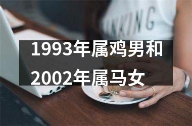 <h3>1993年属鸡男和2002年属马女