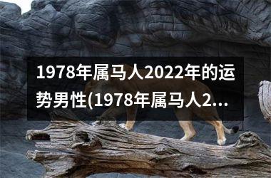 1978年属马人2025年的运势男性(1978年属马人2025年运势运程)