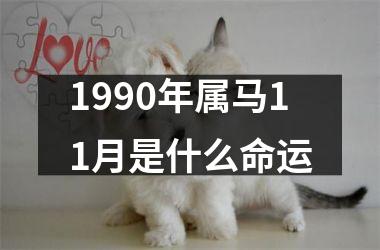 1990年属马11月是什么命运