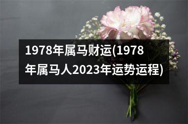 1978年属马财运(1978年属马人2025年运势运程)