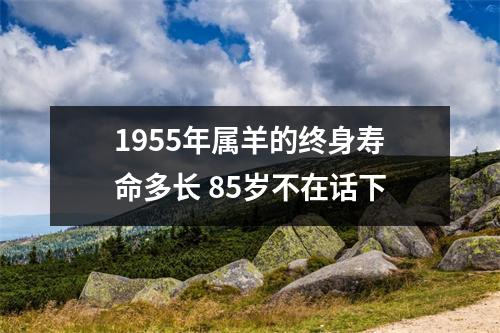 1955年属羊的终身寿命多长85岁不在话下