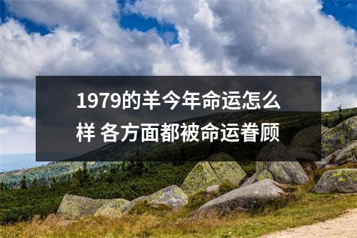 <h3>1979的羊今年命运怎么样各方面都被命运眷顾