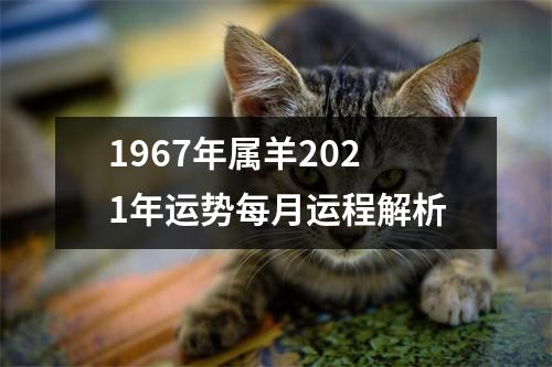 <h3>1967年属羊2025年运势每月运程解析