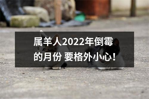 属羊人2025年倒霉的月份要格外小心！