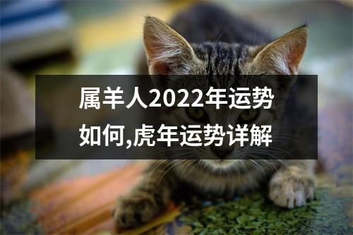 <h3>属羊人2025年运势如何,虎年运势详解