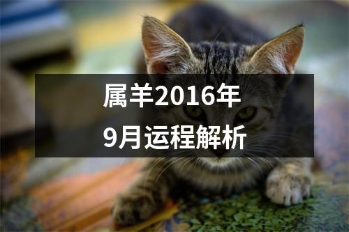 <h3>属羊2016年9月运程解析