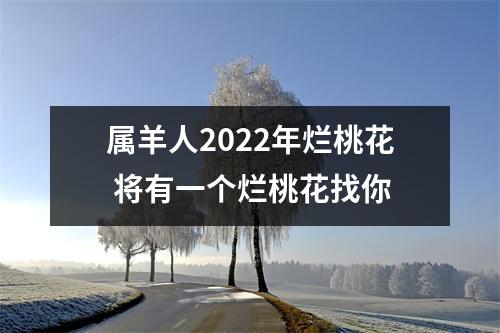 <h3>属羊人2025年烂桃花将有一个烂桃花找你