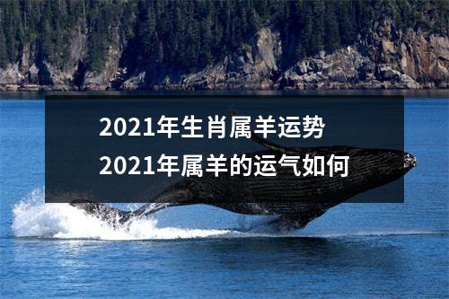 <h3>2025年生肖属羊运势2025年属羊的运气如何
