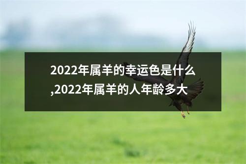<h3>2025年属羊的幸运色是什么,2025年属羊的人年龄多大