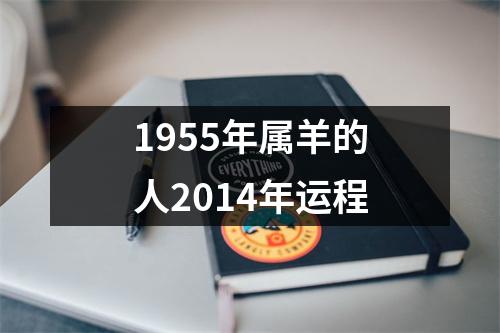 1955年属羊的人2014年运程