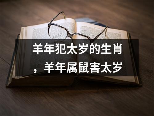 <h3>羊年犯太岁的生肖，羊年属鼠害太岁