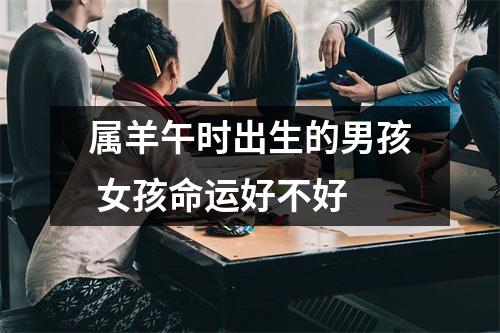 <h3>属羊午时出生的男孩女孩命运好不好