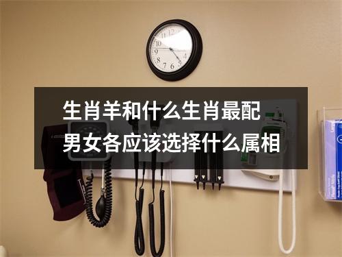 <h3>生肖羊和什么生肖配男女各应该选择什么属相
