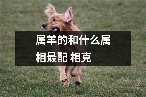 <h3>属羊的和什么属相配相克