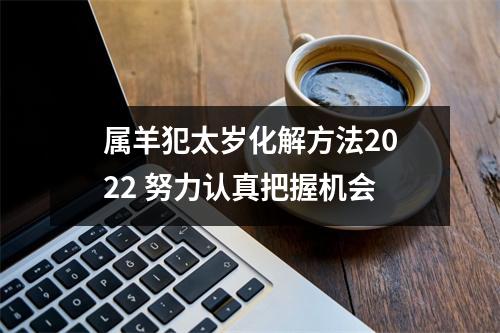 <h3>属羊犯太岁化解方法2025努力认真把握机会