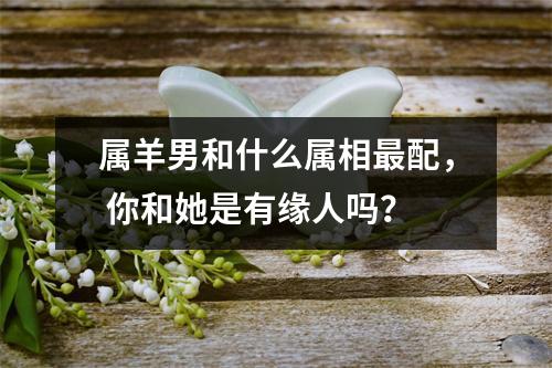 <h3>属羊男和什么属相配，你和她是有缘人吗？