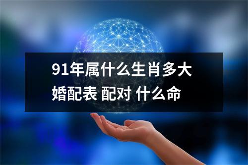 <h3>91年属什么生肖多大婚配表配对什么命