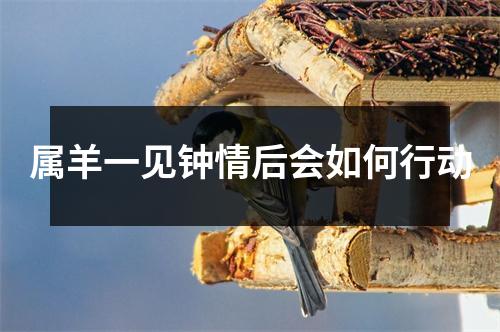 <h3>属羊一见钟情后会如何行动