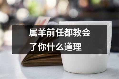 属羊前任都教会了你什么道理