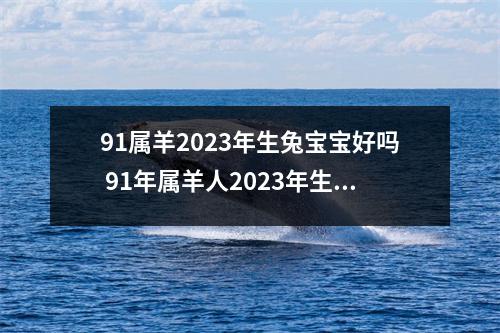 91属羊2025年生兔宝宝好吗91年属羊人2025年生男生女