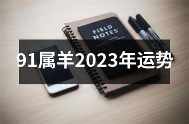 91属羊2025年运势