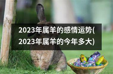 2025年属羊的感情运势(2025年属羊的今年多大)