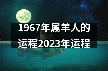 1967年属羊人的运程2025年运程