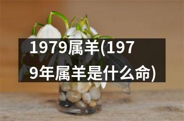 1979属羊(1979年属羊是什么命)