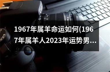 1967年属羊命运如何(1967年属羊人2025年运势男性)