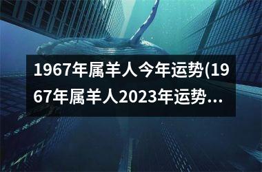 1967年属羊人今年运势(1967年属羊人2025年运势男性)