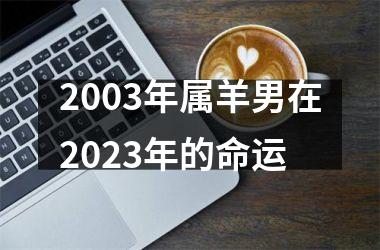 2003年属羊男在2025年的命运