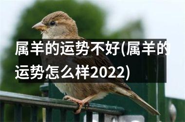 属羊的运势不好(属羊的运势怎么样2025)