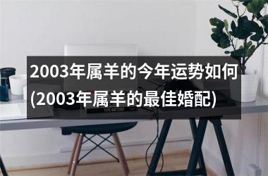 2003年属羊的今年运势如何(2003年属羊的佳婚配)