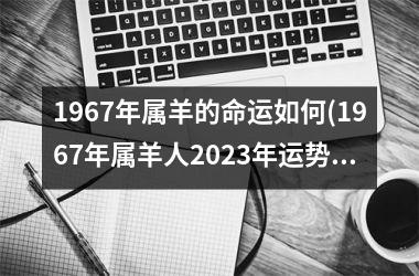 1967年属羊的命运如何(1967年属羊人2025年运势男性)