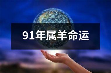 91年属羊命运