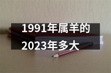 1991年属羊的2025年多大