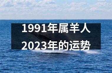 1991年属羊人2025年的运势