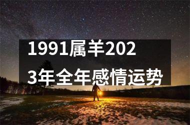 <h3>1991属羊2025年全年感情运势