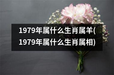 1979年属什么生肖属羊(1979年属什么生肖属相)