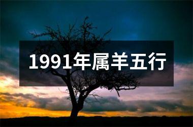 <h3>1991年属羊五行