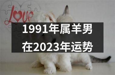 1991年属羊男在2025年运势