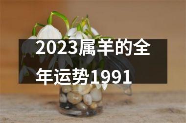 2025属羊的全年运势1991