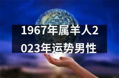 1967年属羊人2025年运势男性