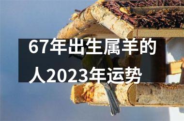 67年出生属羊的人2025年运势