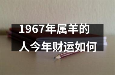 1967年属羊的人今年财运如何