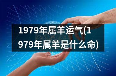 1979年属羊运气(1979年属羊是什么命)