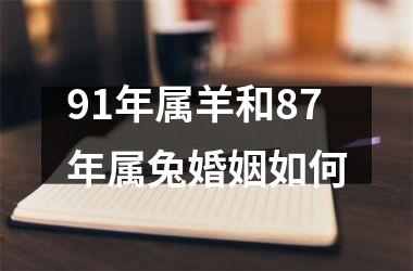 91年属羊和87年属兔婚姻如何